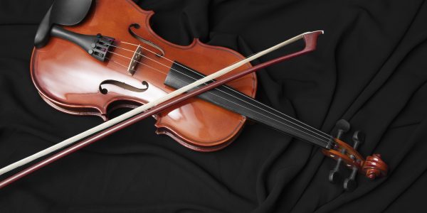 Violin